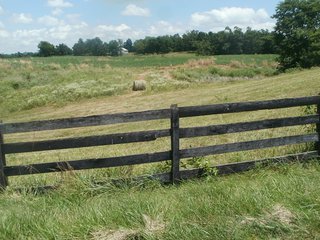 Property photo 27 - LARGE KENTUCKY LAND AUCTION - 633+/- CONTIGUOUS ACRES IN 12 TRACTS IN HART COUNTY, KY