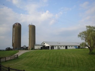 Property photo 39 - LARGE KENTUCKY LAND AUCTION - 633+/- CONTIGUOUS ACRES IN 12 TRACTS IN HART COUNTY, KY