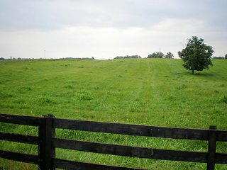 Property photo 24 - LARGE KENTUCKY LAND AUCTION - 633+/- CONTIGUOUS ACRES IN 12 TRACTS IN HART COUNTY, KY