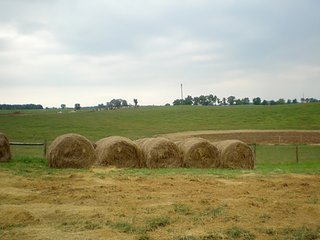 Property photo 30 - LARGE KENTUCKY LAND AUCTION - 633+/- CONTIGUOUS ACRES IN 12 TRACTS IN HART COUNTY, KY