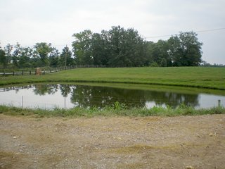 Property photo 41 - LARGE KENTUCKY LAND AUCTION - 633+/- CONTIGUOUS ACRES IN 12 TRACTS IN HART COUNTY, KY