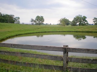 Property photo 42 - LARGE KENTUCKY LAND AUCTION - 633+/- CONTIGUOUS ACRES IN 12 TRACTS IN HART COUNTY, KY