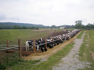 Property photo 43 - LARGE KENTUCKY LAND AUCTION - 633+/- CONTIGUOUS ACRES IN 12 TRACTS IN HART COUNTY, KY