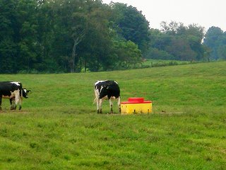 Property photo 45 - LARGE KENTUCKY LAND AUCTION - 633+/- CONTIGUOUS ACRES IN 12 TRACTS IN HART COUNTY, KY