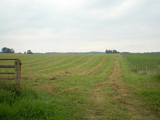 Property photo 25 - LARGE KENTUCKY LAND AUCTION - 633+/- CONTIGUOUS ACRES IN 12 TRACTS IN HART COUNTY, KY
