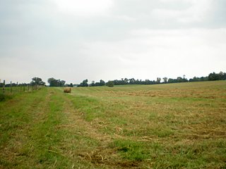 Property photo 28 - LARGE KENTUCKY LAND AUCTION - 633+/- CONTIGUOUS ACRES IN 12 TRACTS IN HART COUNTY, KY