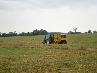 Property photo 31 - LARGE KENTUCKY LAND AUCTION - 633+/- CONTIGUOUS ACRES IN 12 TRACTS IN HART COUNTY, KY