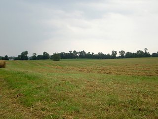 Property photo 23 - LARGE KENTUCKY LAND AUCTION - 633+/- CONTIGUOUS ACRES IN 12 TRACTS IN HART COUNTY, KY