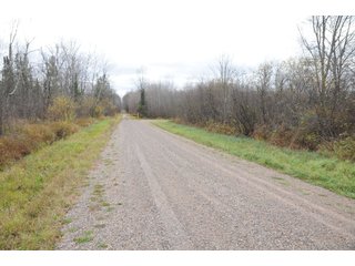 Property photo 93 - REAL ESTATE AUCTION - 1,428+/- ACRES OFFERED IN 10 TRACTS IN PRICE CO., WI