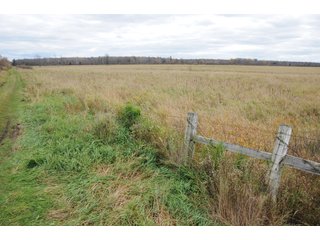 Property photo 77 - REAL ESTATE AUCTION - 1,428+/- ACRES OFFERED IN 10 TRACTS IN PRICE CO., WI