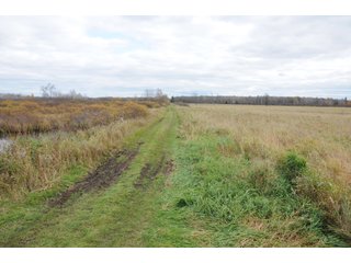 Property photo 58 - REAL ESTATE AUCTION - 1,428+/- ACRES OFFERED IN 10 TRACTS IN PRICE CO., WI