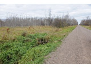Property photo 101 - REAL ESTATE AUCTION - 1,428+/- ACRES OFFERED IN 10 TRACTS IN PRICE CO., WI