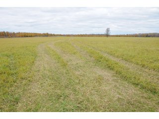 Property photo 34 - REAL ESTATE AUCTION - 1,428+/- ACRES OFFERED IN 10 TRACTS IN PRICE CO., WI