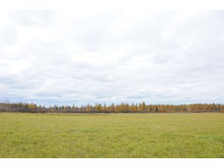 Property photo 75 - REAL ESTATE AUCTION - 1,428+/- ACRES OFFERED IN 10 TRACTS IN PRICE CO., WI
