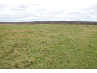 Property photo 61 - REAL ESTATE AUCTION - 1,428+/- ACRES OFFERED IN 10 TRACTS IN PRICE CO., WI