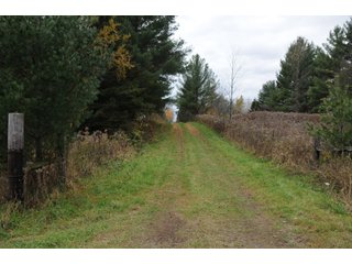 Property photo 38 - REAL ESTATE AUCTION - 1,428+/- ACRES OFFERED IN 10 TRACTS IN PRICE CO., WI