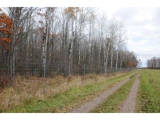 Property photo 95 - REAL ESTATE AUCTION - 1,428+/- ACRES OFFERED IN 10 TRACTS IN PRICE CO., WI
