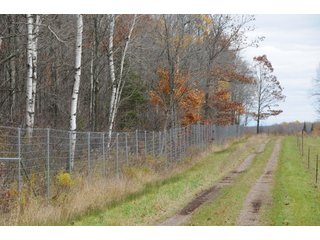 Property photo 55 - REAL ESTATE AUCTION - 1,428+/- ACRES OFFERED IN 10 TRACTS IN PRICE CO., WI
