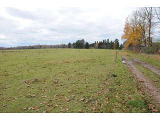 Property photo 72 - REAL ESTATE AUCTION - 1,428+/- ACRES OFFERED IN 10 TRACTS IN PRICE CO., WI
