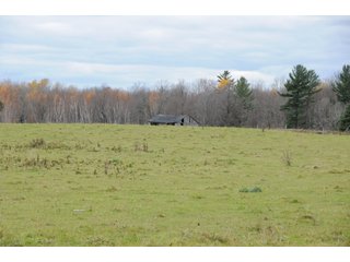Property photo 45 - REAL ESTATE AUCTION - 1,428+/- ACRES OFFERED IN 10 TRACTS IN PRICE CO., WI