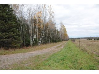 Property photo 96 - REAL ESTATE AUCTION - 1,428+/- ACRES OFFERED IN 10 TRACTS IN PRICE CO., WI