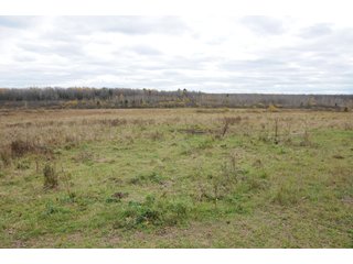 Property photo 87 - REAL ESTATE AUCTION - 1,428+/- ACRES OFFERED IN 10 TRACTS IN PRICE CO., WI