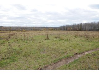 Property photo 81 - REAL ESTATE AUCTION - 1,428+/- ACRES OFFERED IN 10 TRACTS IN PRICE CO., WI