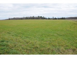Property photo 36 - REAL ESTATE AUCTION - 1,428+/- ACRES OFFERED IN 10 TRACTS IN PRICE CO., WI