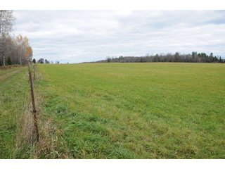 Property photo 46 - REAL ESTATE AUCTION - 1,428+/- ACRES OFFERED IN 10 TRACTS IN PRICE CO., WI