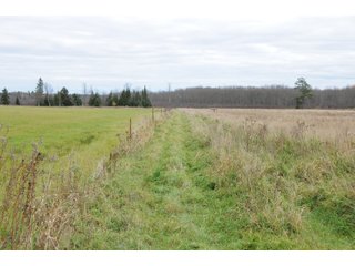 Property photo 84 - REAL ESTATE AUCTION - 1,428+/- ACRES OFFERED IN 10 TRACTS IN PRICE CO., WI