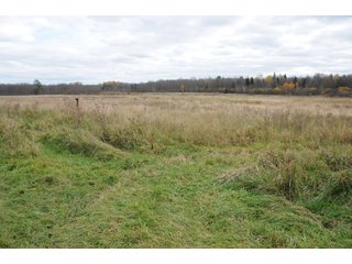 Property photo 69 - REAL ESTATE AUCTION - 1,428+/- ACRES OFFERED IN 10 TRACTS IN PRICE CO., WI