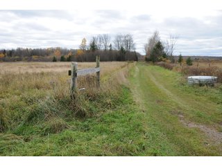 Property photo 59 - REAL ESTATE AUCTION - 1,428+/- ACRES OFFERED IN 10 TRACTS IN PRICE CO., WI