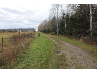 Property photo 91 - REAL ESTATE AUCTION - 1,428+/- ACRES OFFERED IN 10 TRACTS IN PRICE CO., WI