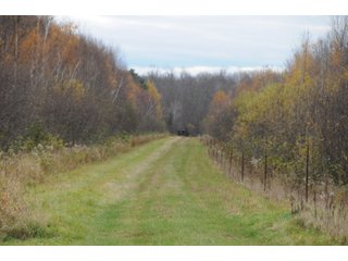 Property photo 80 - REAL ESTATE AUCTION - 1,428+/- ACRES OFFERED IN 10 TRACTS IN PRICE CO., WI