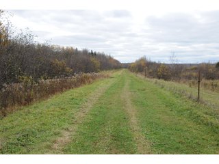 Tracts 4 & 9 - REAL ESTATE AUCTION - 1,428+/- ACRES OFFERED IN 10 TRACTS IN PRICE CO., WI