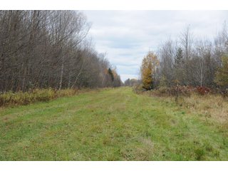 Property photo 74 - REAL ESTATE AUCTION - 1,428+/- ACRES OFFERED IN 10 TRACTS IN PRICE CO., WI