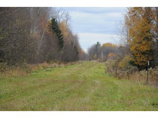 Property photo 54 - REAL ESTATE AUCTION - 1,428+/- ACRES OFFERED IN 10 TRACTS IN PRICE CO., WI