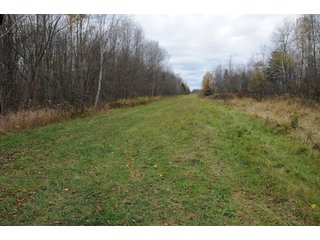 Property photo 44 - REAL ESTATE AUCTION - 1,428+/- ACRES OFFERED IN 10 TRACTS IN PRICE CO., WI