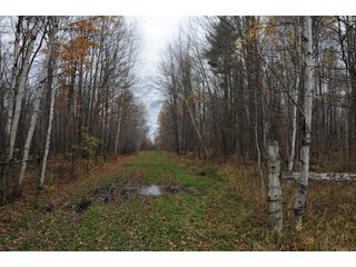 Property photo 68 - REAL ESTATE AUCTION - 1,428+/- ACRES OFFERED IN 10 TRACTS IN PRICE CO., WI