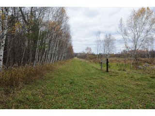 Property photo 89 - REAL ESTATE AUCTION - 1,428+/- ACRES OFFERED IN 10 TRACTS IN PRICE CO., WI