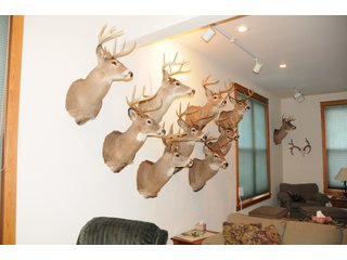Property photo 107 - REAL ESTATE AUCTION - 1,428+/- ACRES OFFERED IN 10 TRACTS IN PRICE CO., WI