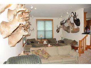 Property photo 108 - REAL ESTATE AUCTION - 1,428+/- ACRES OFFERED IN 10 TRACTS IN PRICE CO., WI