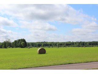 Tract 4 - REAL ESTATE AUCTION - 1,428+/- ACRES OFFERED IN 10 TRACTS IN PRICE CO., WI