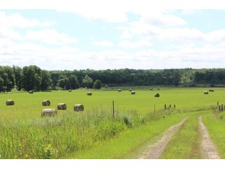Tract 4 - REAL ESTATE AUCTION - 1,428+/- ACRES OFFERED IN 10 TRACTS IN PRICE CO., WI