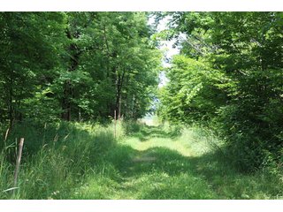 Tract 3 - REAL ESTATE AUCTION - 1,428+/- ACRES OFFERED IN 10 TRACTS IN PRICE CO., WI