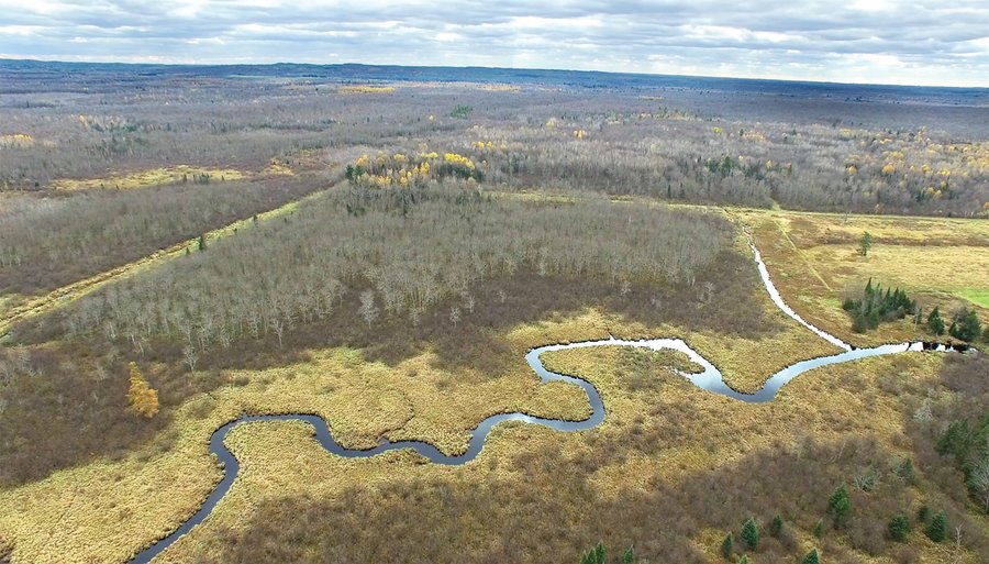 REAL ESTATE AUCTION - 1,428+/- ACRES OFFERED IN 10 TRACTS IN PRICE CO., WI