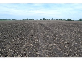Property photo 12 - LAND AUCTION - 209.2+/- ACRES OFFERED IN 4 TRACTS IN NEWTON COUNTY, INDIANA
