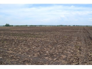Property photo 13 - LAND AUCTION - 209.2+/- ACRES OFFERED IN 4 TRACTS IN NEWTON COUNTY, INDIANA