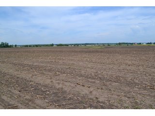 Property photo 16 - LAND AUCTION - 209.2+/- ACRES OFFERED IN 4 TRACTS IN NEWTON COUNTY, INDIANA