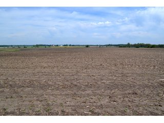 Property photo 17 - LAND AUCTION - 209.2+/- ACRES OFFERED IN 4 TRACTS IN NEWTON COUNTY, INDIANA